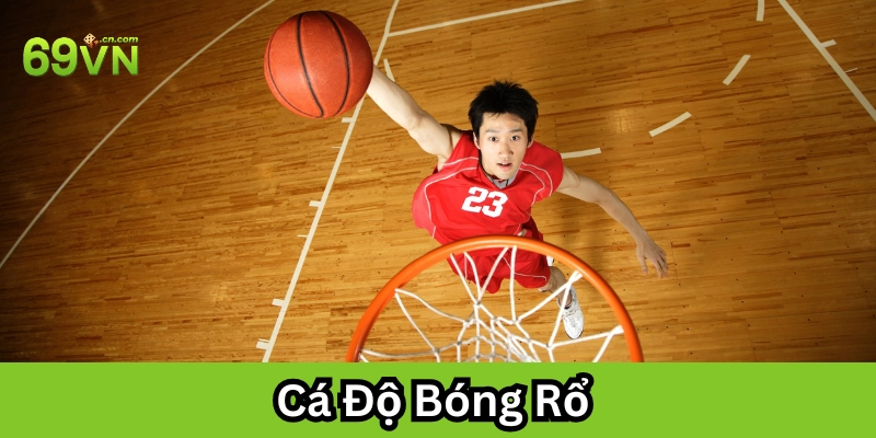 Bí kíp chọn kèo Cá Độ Bóng Rổ