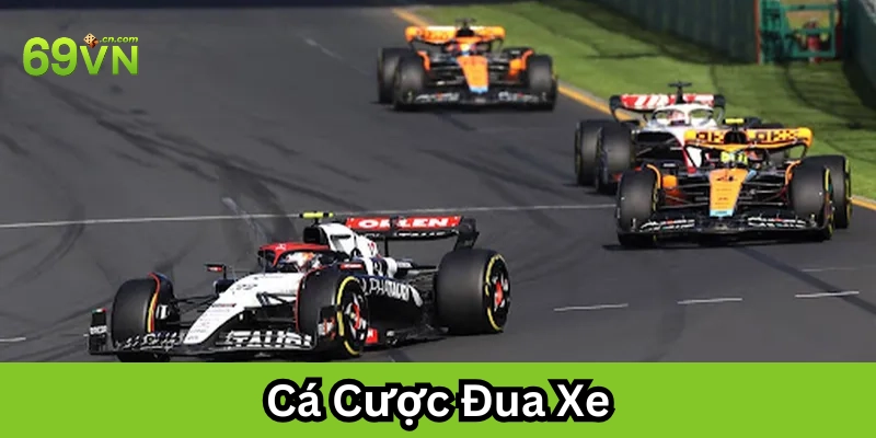 Cá Cược Đua Xe: Cách Đọc Kèo Chuẩn Và Chọn Cửa An Toàn