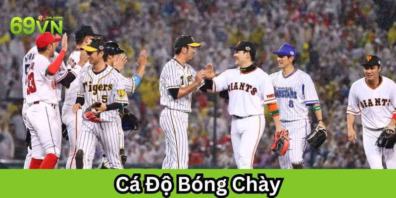 Cá Độ Bóng Chày là gì? 