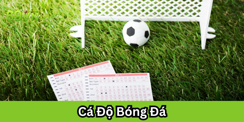 Cá Độ Bóng Đá 69VN – Mọi Điều Cần Biết Trước Khi Tham Gia