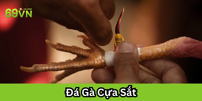 Đá Gà Cựa Sắt là gì? 