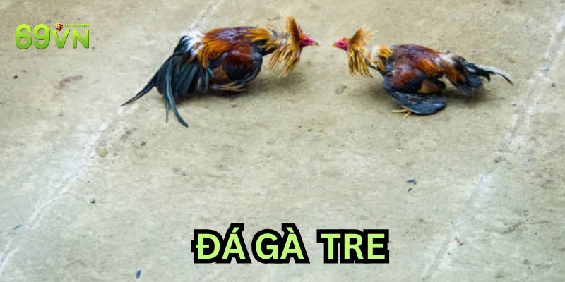 Định nghĩa Đá Gà Tre
