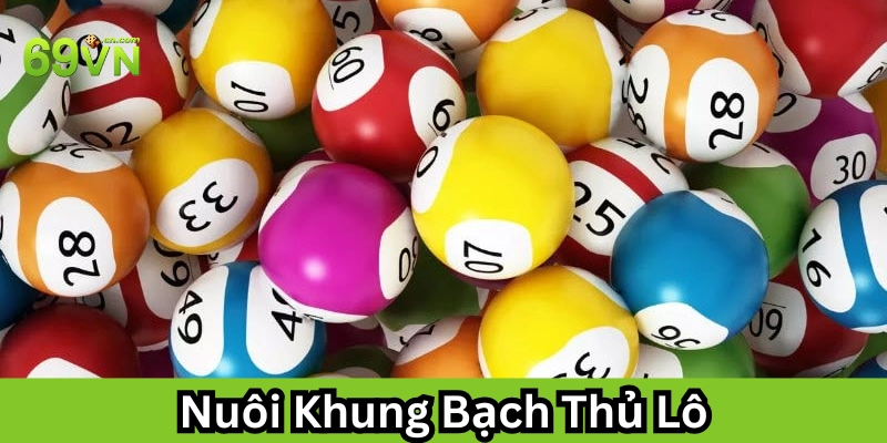 Lời khuyên khi chơi Nuôi Khung Bạch Thủ Lô