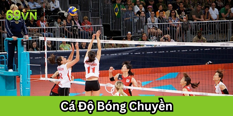 Mẹo soi kèo Cá Độ Bóng Chuyền