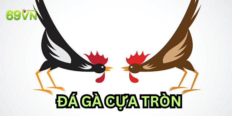 Một số cách cược đá gà