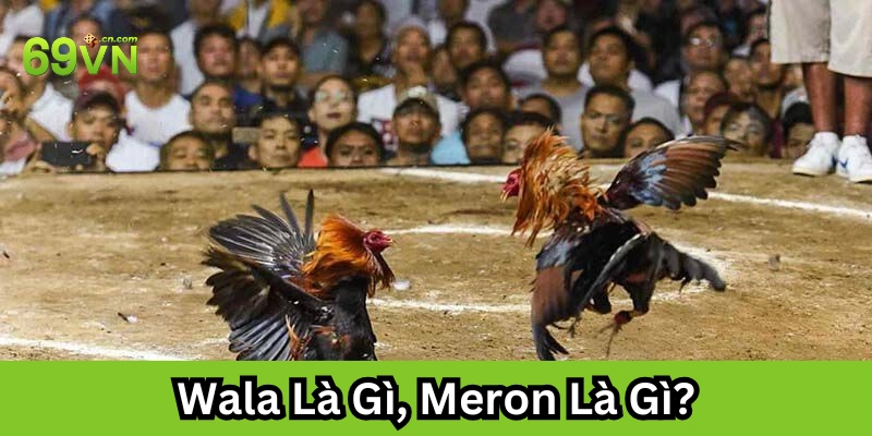 Wala Là Gì, Meron Là Gì hiểu sao cho đúng