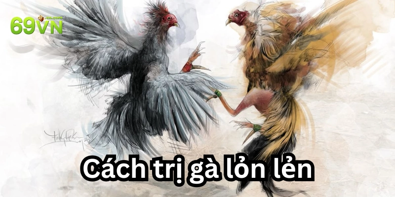 Hiện tượng gà bị lỏn lẻn